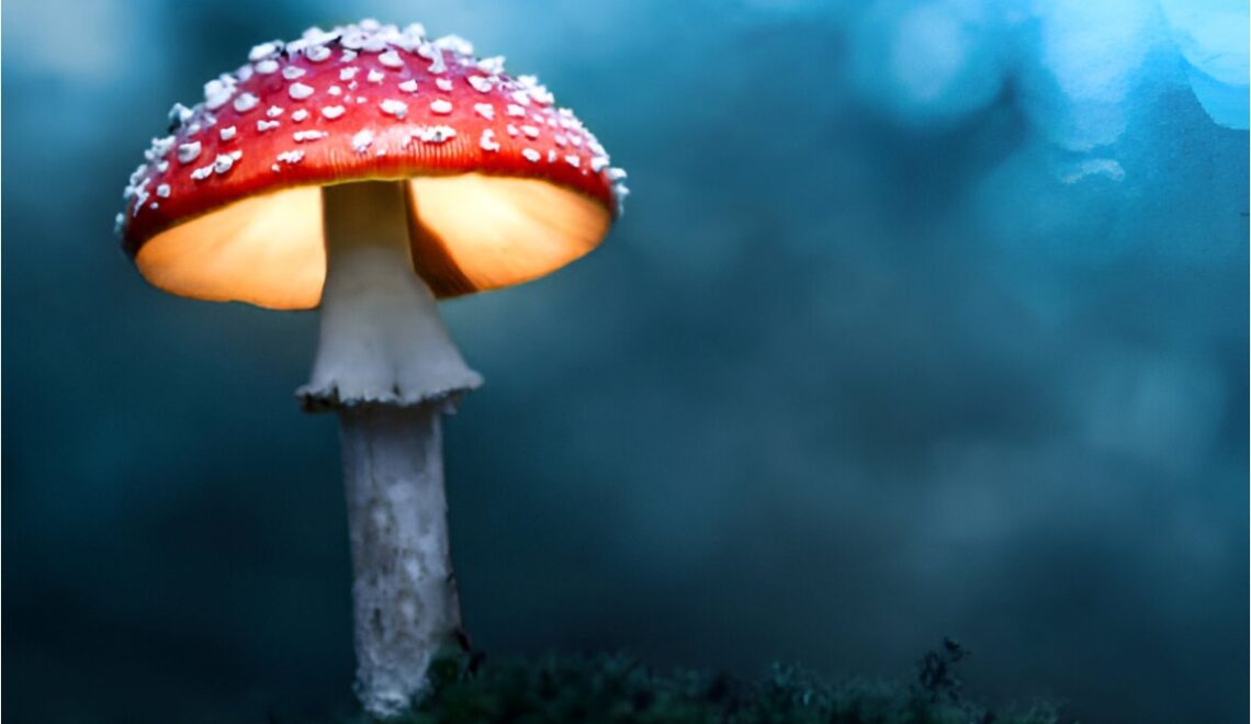 How Long Do Magic Mushrooms Stay in Your System?