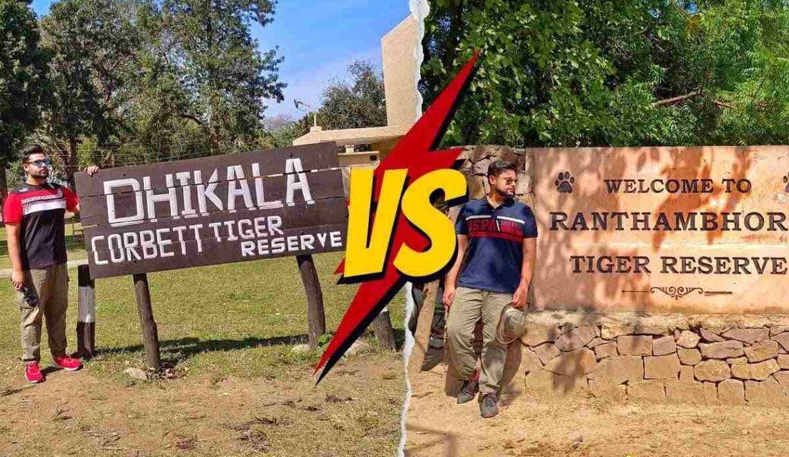 Compare Corbett And Ranthambore For A 5 Day Wildlife Photography Trip In November On A 50k Budget - India