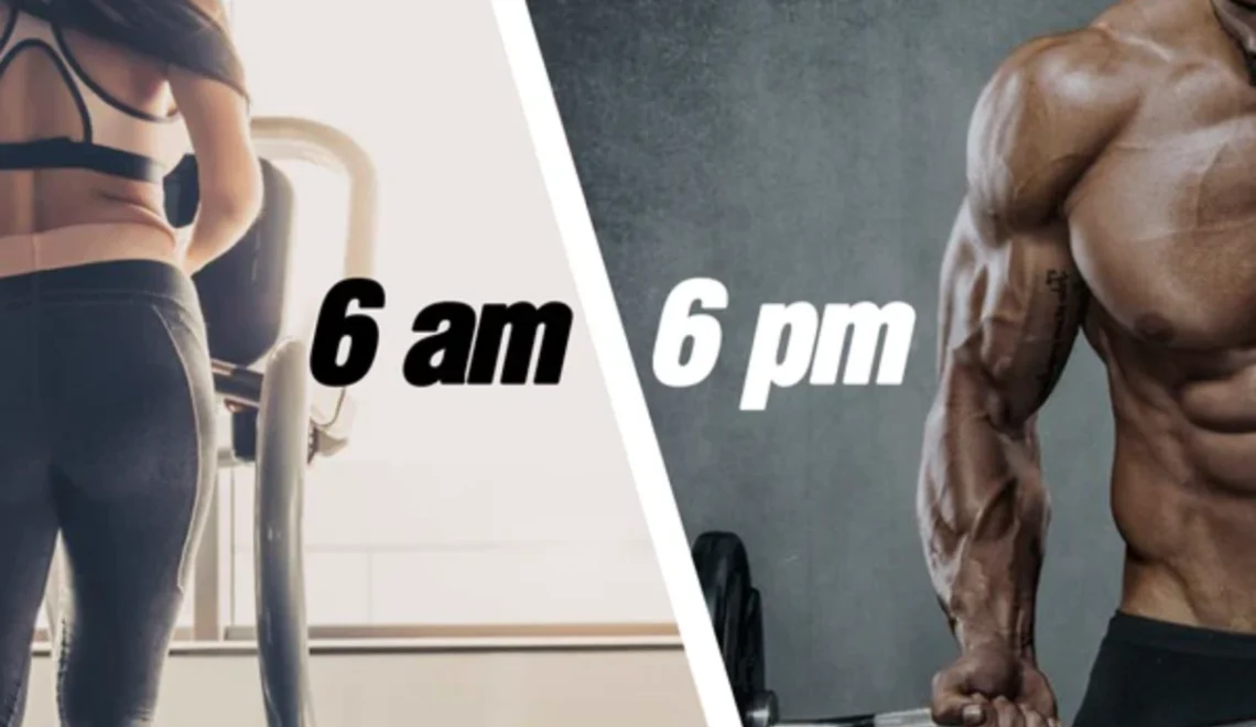 Morning Cardio vs Evening Cardio