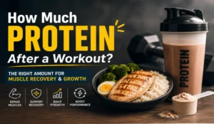 How Much Protein After a Workout?
