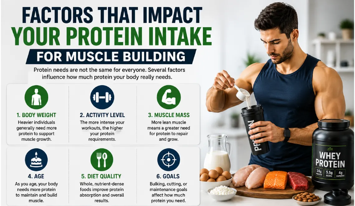Factors That Impact Your Protein Intake For Muscle Building