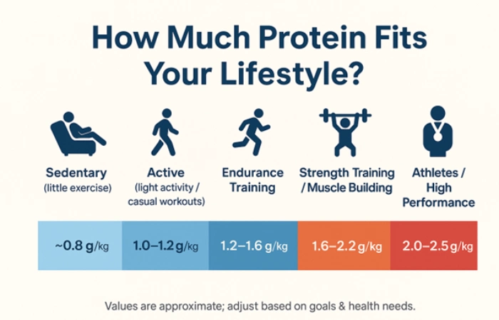 Protein Requirements for Your Activity Level