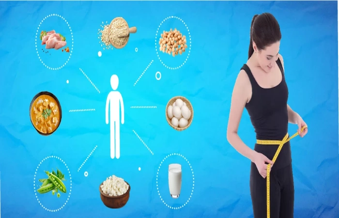 What Are the Best Protein-Rich foods for weight loss?