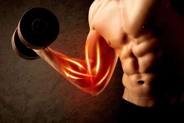 Muscle Building Peptides: Benefits, Risks, Types and What the Evidence Says