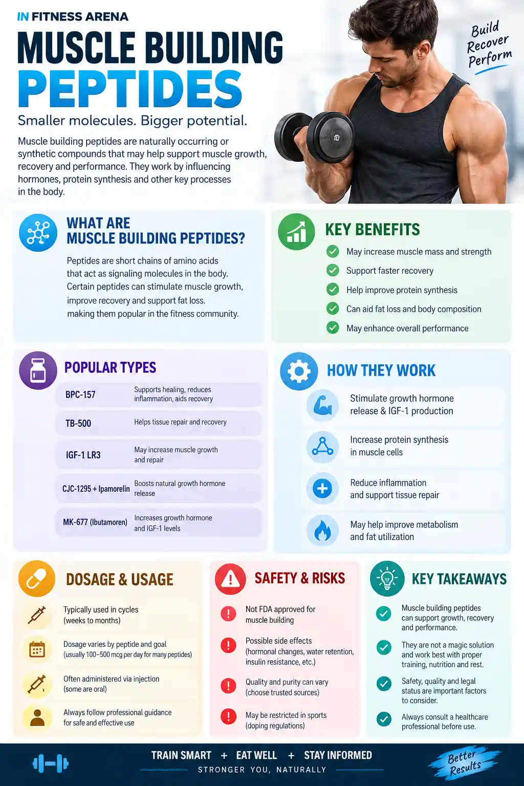 Muscle Building Peptides: Benefits, Risks, Types and What the Evidence Says